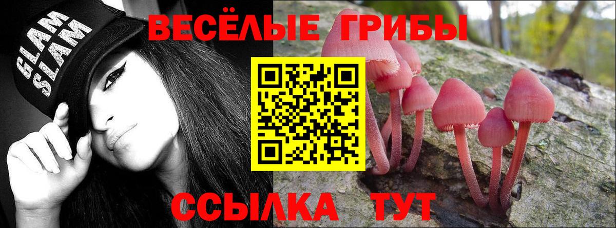 Псилоцибиновые грибы мицелий  Вход с VPN  Ейск 